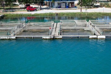 Fototapeta na wymiar White fish traps in water with fish allowing not to die. Angling accessories. Fish trap or tank.