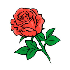 Red rose on a white background. Hand drawing with lines. Plants and flowers. Decorative design. Vector isolated illustration