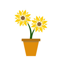 Sunflower in flat style isolated illustration