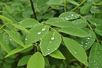 Nature never goes out of style