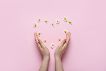 Female hands with heart made of beautiful chamomile flowers on color background