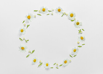 Frame made of beautiful chamomile flowers on light background