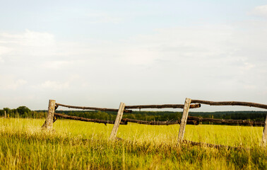 A landscape of an abandoned and once fenced summer cattle pasture. Selective focus on part of old fence logs.