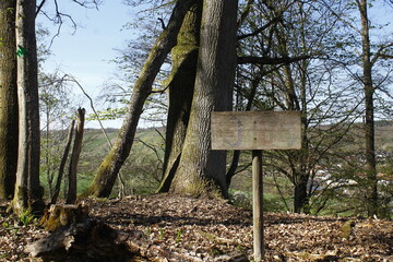 empty sign in the middle of a forest