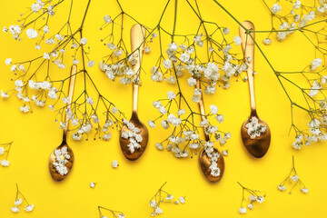 Beautiful gypsophila flowers and spoons on color background