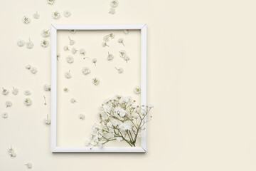 Beautiful gypsophila flowers and frame on color background