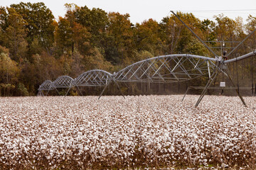 Pivot Irrigation System Cottonfield North Carolina NC USA