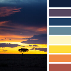 Lone acacia tree at sunset in the Masai Mara, Kenya. Colour palette