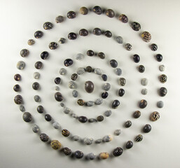 Circle of Shells