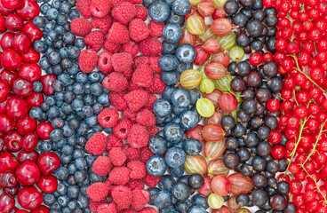 Background of different summer berries
