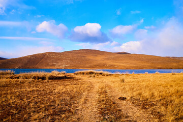 Nature landscape with golden field, wather, hills and blue sky with white clouds in a day or a evening