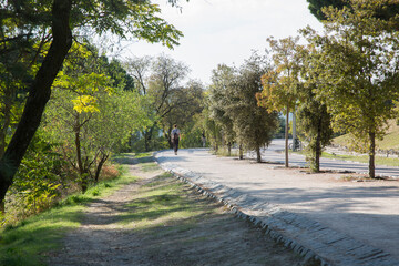 Path in Dehesa de la Villa Park; Madrid