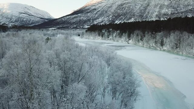 Dlog flat aerial drone view of norway lofoten islands winter landscape, frozen trees, snowy mountains and icy water