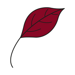 Leaf colorful icon. Vector leaves logo. Red autumn leaf. Autumn leaves for your projects, illustrations, websites. 