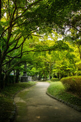 alley in the park