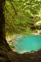 blue river water in a forest