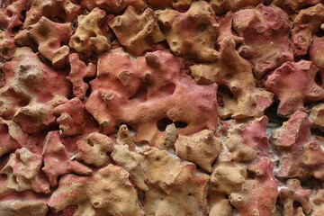 Mur de maison en imitation corail