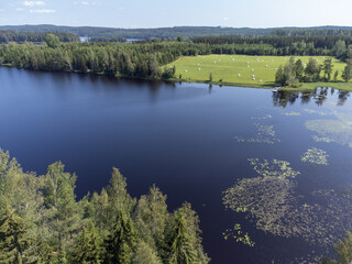 Bird's eye view of a lake, green agriculture field and forest. Aerial, drone nature photography taken from above in Sweden in summer.  Copy space and place for text.