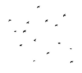 A flock of flying birds. Vector illustration