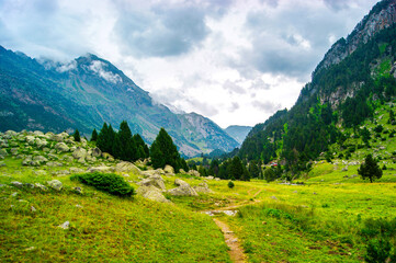 Obraz premium Path through a green and mountainous landscape with pines in the high Pyrenees.