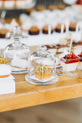 Delicious candy bar at luxury wedding reception. Exclusive expensive catering. table with modern desserts, cupcakes.