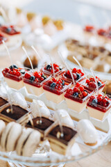 Candy bar. Beautiful multi colored decorated candy table baked sweet tasty cupcake cupcakes on a party. Beautifully decorated catering banquet table with different candy sweet delicacy.