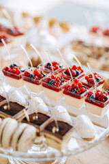 Small cakes with white and red filling, decorated with berries on the table. 