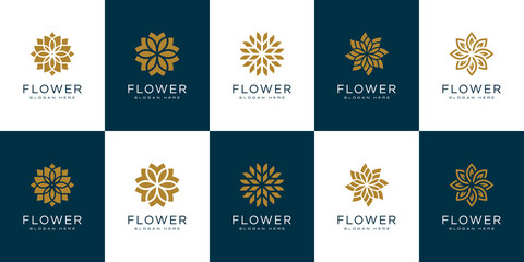Fototapeta na wymiar set of flower logo vector design template