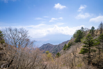 三ツ峠山登山道の風景 A view of the Mt. Mitsutoge trail
