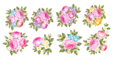 Watercolor elements of blooming rose. Set garden flowers. Collection botanic illustration leaves, flower and branches.