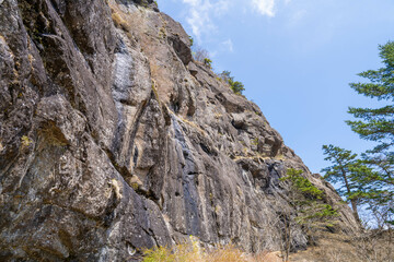三ツ峠山登山道の風景 A view of the Mt. Mitsutoge trail