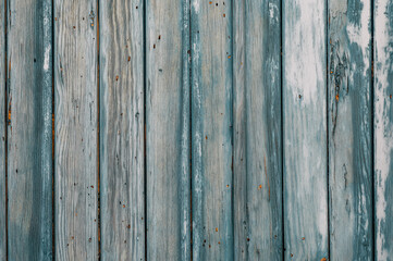 Fototapeta premium Holzwand, blau grau lasiert als Hintergrund