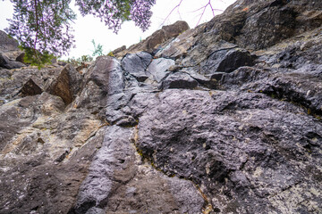 三ツ峠山登山道の風景 A view of the Mt. Mitsutoge trail