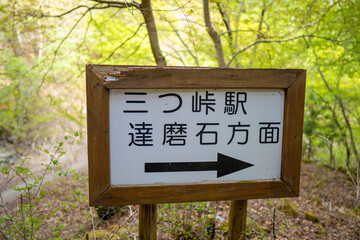 三ツ峠山登山道の風景 A view of the Mt. Mitsutoge trail