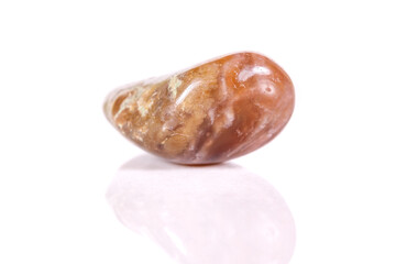 Macro mineral stone jasper on a white background