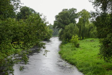 Fototapeta na wymiar River in a green park during the rain