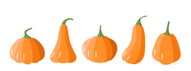 A set of cartoon pumpkins. Pumpkins of different shapes, vector illustration of the autumn vegetable harvest.