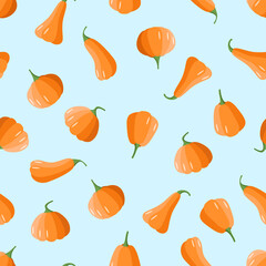 Seamless pattern of different shapes of pumpkins, background from the autumn harvest of pumpkins.