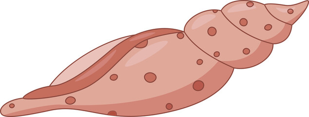 long spiral cartoon curled shell with dots