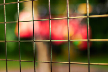 Blurred bokeh through metal wire grid mesh fence, space for text,  people with life jackets nature background