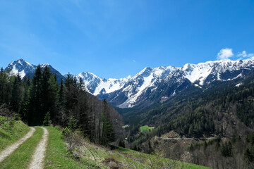 Fototapeta na wymiar A panoramic view on a hiking trail in the Baeren Valley in Austrian Alps. The highest peaks in the chain are snow-capped. Lush green pasture in front. A few trees on the slopes. Clear and sunny day.