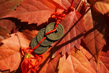 Chinese Feng Shui coins on autumn leaves. Symbol of good luck and prosperity.