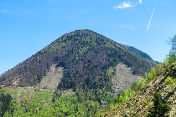 A panoramic view on Sinacher Gupf from Matschacher Gupf in the Karawanks, Austrian Alps. The mountain is covered with forest. Lush green pasture in front. Clear and sunny day. Wanderlust