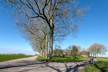 Fototapeta premium Kampereiland, Overijssel Province, The Netherlands