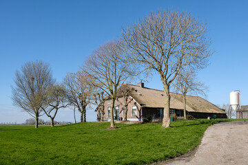 Obraz premium Kampereiland, Overijssel Province, The Netherlands