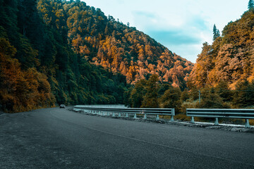 Travel autumn scenic road with road transport, dense forest with hills. Country highway. Beautiful mountain curved roadway, trees with orange foliage and overcast sky. Landscape with empty asphalt