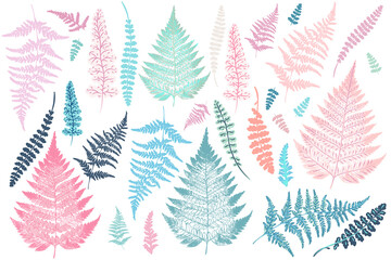 Collection of vector fern leaves tropical plants