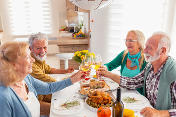Senior people making a toast while having Thanksgiving dinner