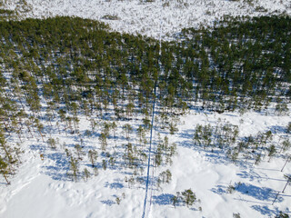 Aerial view to hiking trail in winter bog and forest snow covered in Estonia. 