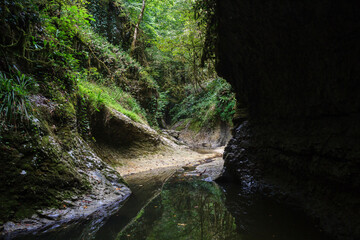 fancy formed mountain river canyon in the heart of wild greenforest